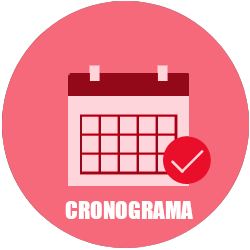 1CRONOGRAMA