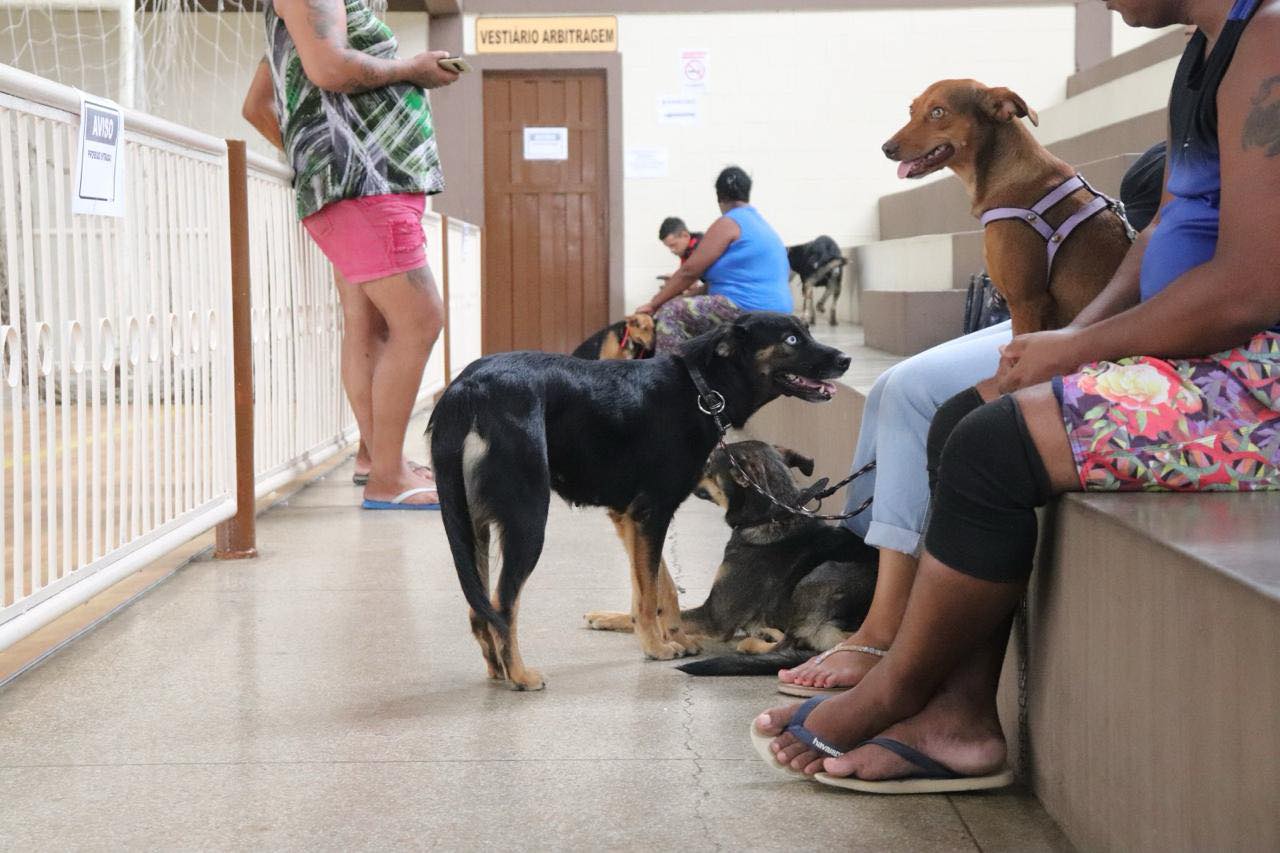 castracao prefeitura 9.03.2024