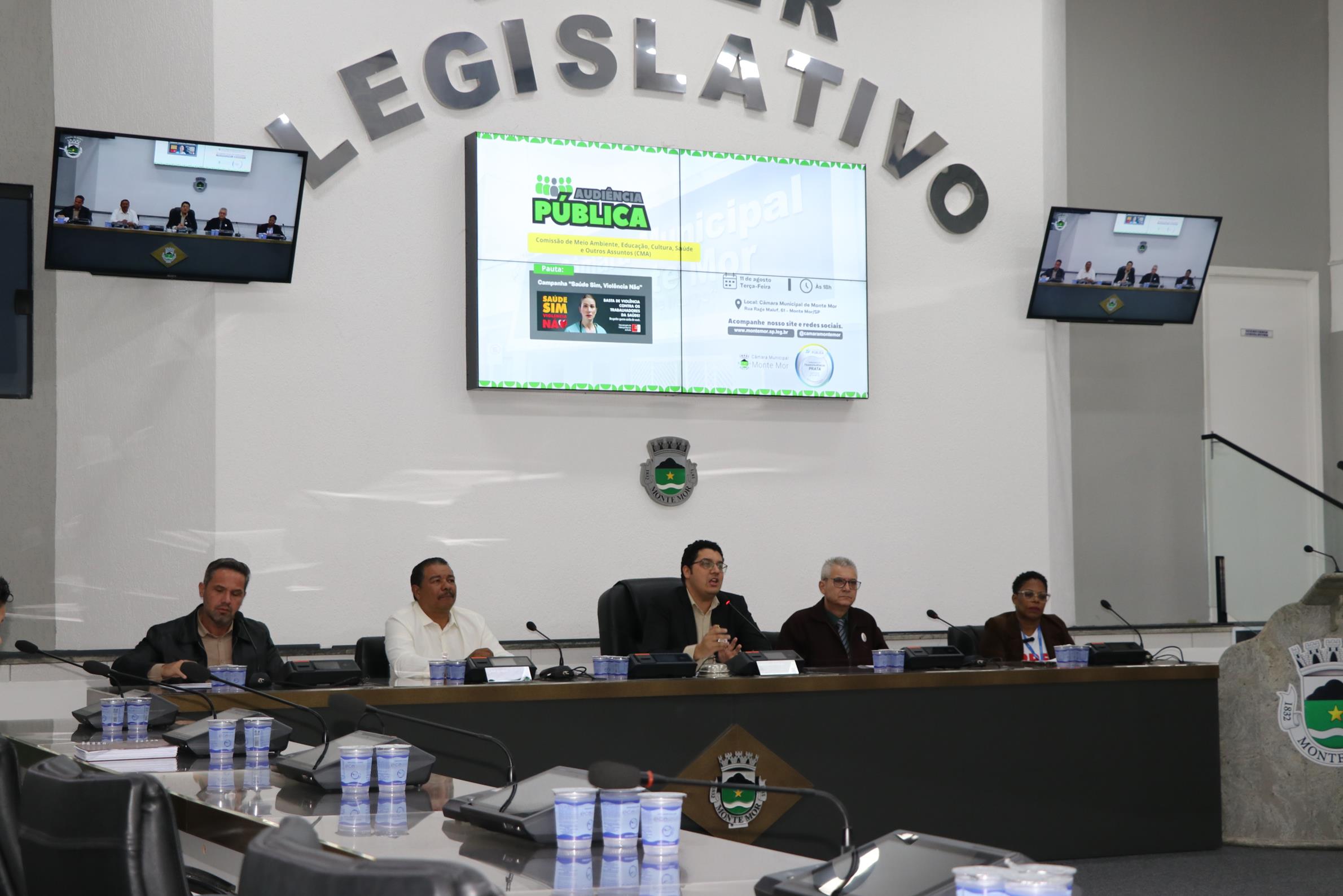 A campanha “Saúde Sim, Violência Não” foi abordada na audiência pública